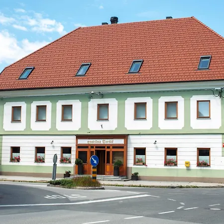 Tursic Vrhnika