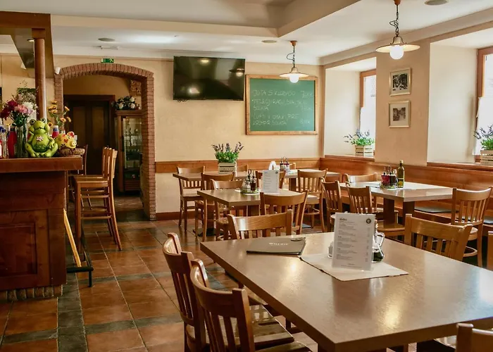 Guest house Tursic 3*