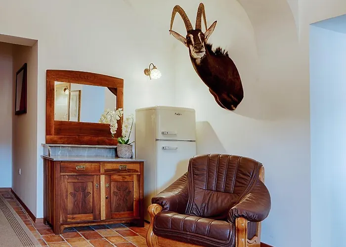 Guest house Tursic 3*