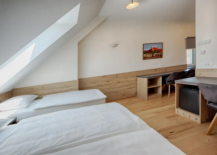 Guest house Tursic 3*