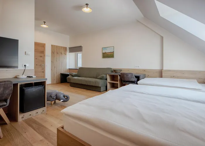 Guest house Tursic 3*