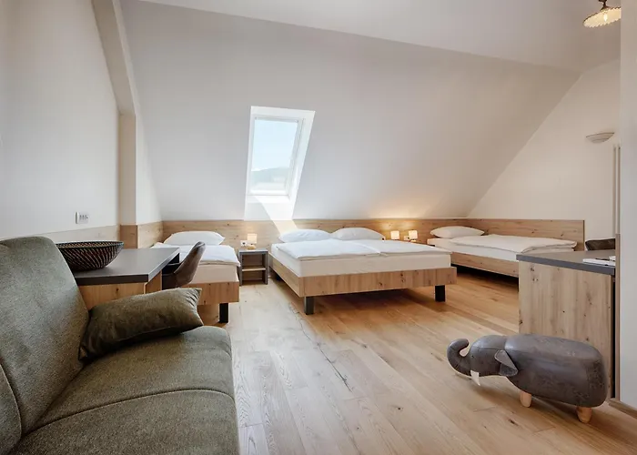 Tursic Guest house Vrhnika